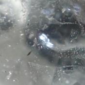 天然ダトライト