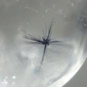 天然ホランダイトクォーツ