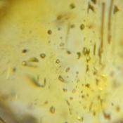 天然スファレライト