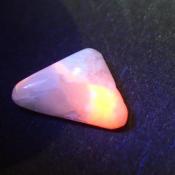 天然タグトゥパイト