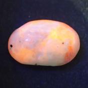 天然タグトゥパイト