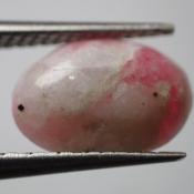 天然タグトゥパイト