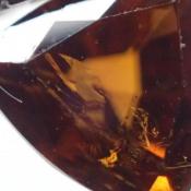 天然バストネサイト