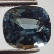 天然サファーリン